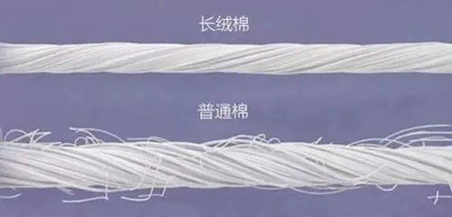 北歐風床品新寵 毛腈混紗，如何用簡約美學打造高級睡眠空間？